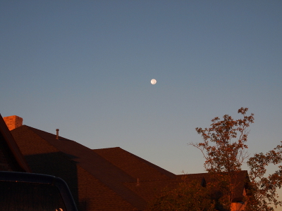 [In the brightening sky above the house tops lit by the rising sun sits the moon.]